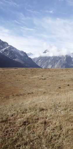 grass mountain