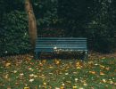 park bench