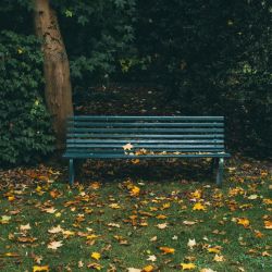 park bench