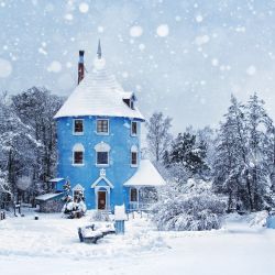 snow over house